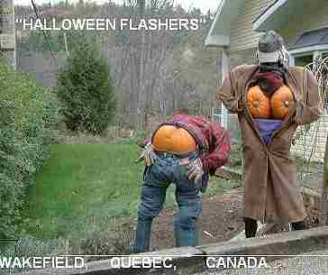 [Image: halloween-pumpkin-flashers.jpg]