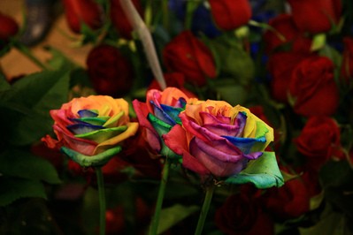 rainbow-roses-and-red-roses-by-lucentstreak.jpg