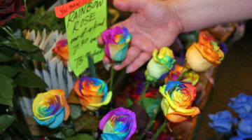 rainbow-roses-for-sale