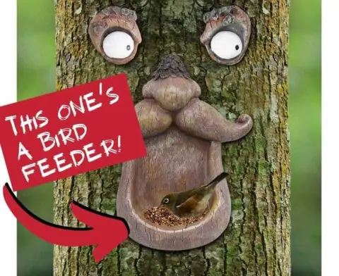 Photos Of All The Best Tree Faces & Talking Trees For Halloween Props… Or Year Round Fun!