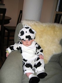 baby-cow-costume-by-teddyb.jpg