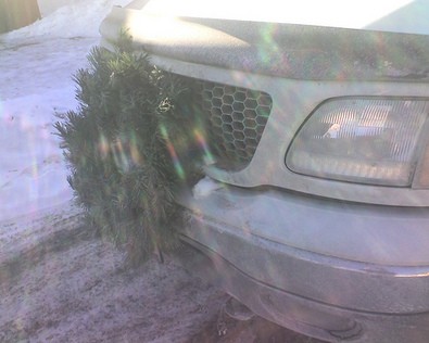 christmas-wreath-car-grill-by-edkohler.jpg