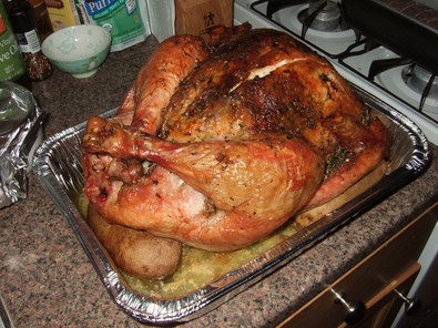 cooked-turkey-by-goodrob13.jpg