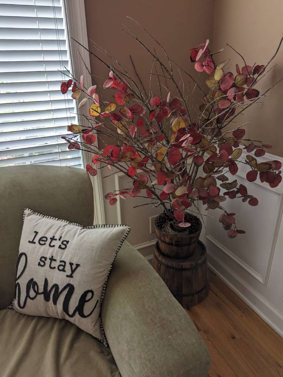 This is the fake indoor tree that I made from real tree branches and added silver dollar dried stems for a pop of color. This one is in our entry room. 