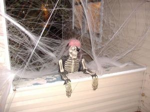 halloween-skeleton-cobwebs-Photos-o-Randomness.jpg