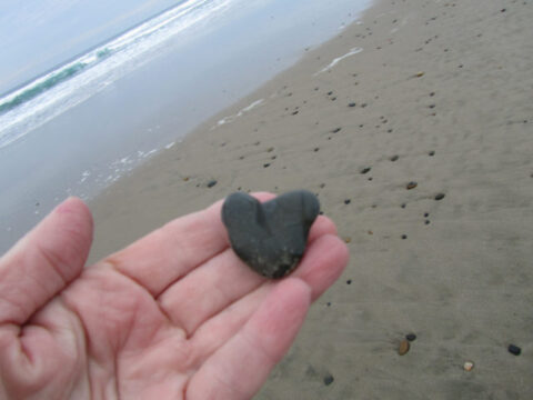 Natural Heart Shapes Found In Unusual Places