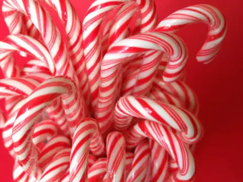 10 Fun Things To Do With Leftover Candy Canes