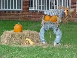pumpkin-flasher-photo.jpg