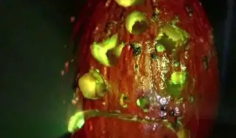VIDEOS: How To Carve A Radioactive Glowing Pumpkin For Halloween
