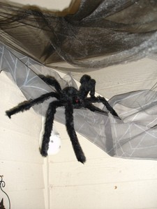spider-and-netting-for-halloween-decorations-by-Merelymel13.jpg