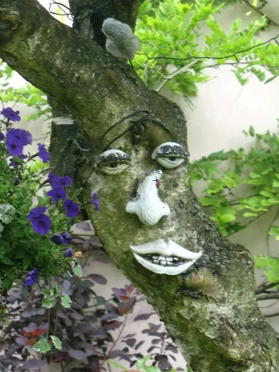 Example of a unique tree face! 