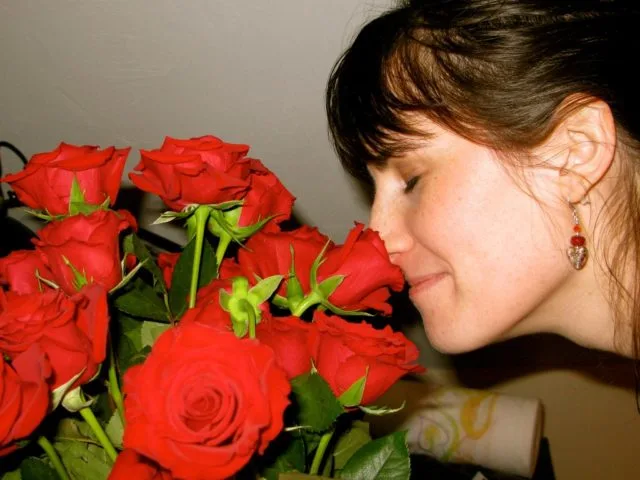 valentines-day-flowers-by-JimboRocks