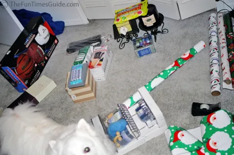 wrapping-presents-with-dogs